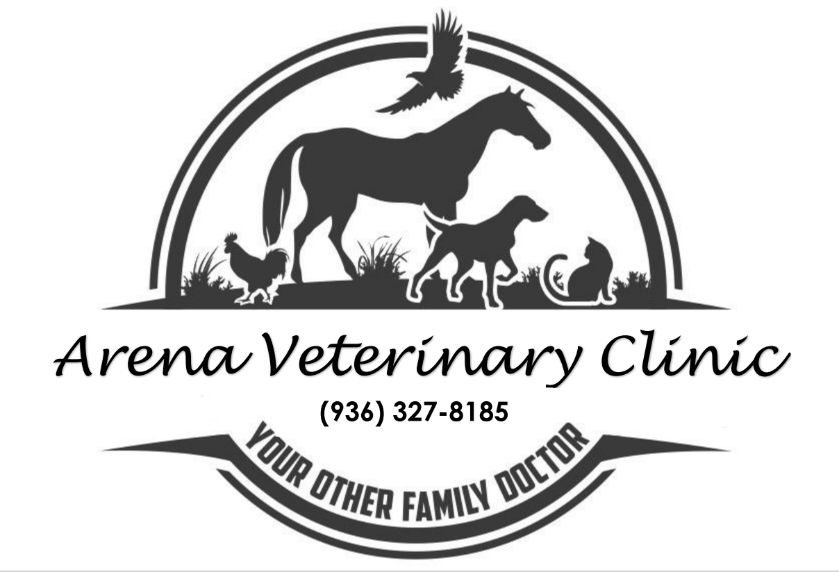 Arena Veterinary Clinic